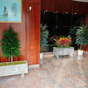 Decoración portales plantas preservadas