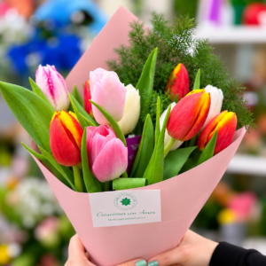 Belleza en Tulipanes