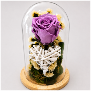Romance Lavanda