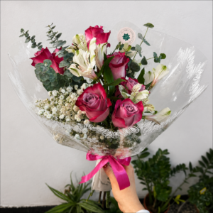 Fucsia de Ensueño