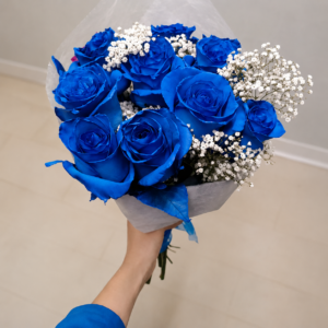 Alegría Azul
