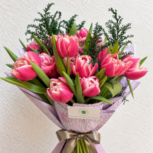 Sueño de Tulipanes