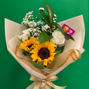 Luz de Girasol