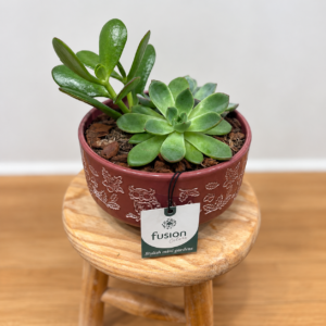 Armonía Verde